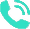 Phone icon